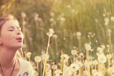 Dandelions ile oynarken sevimli kız