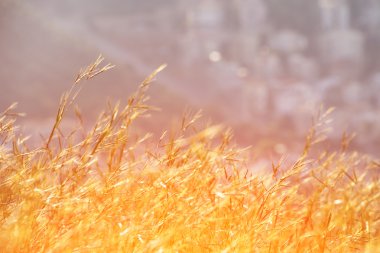 Yamaca beyaz evler ile Akdeniz kasabası