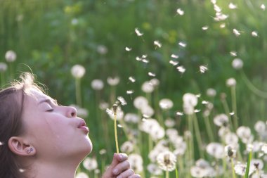 Dandelions ile oynarken sevimli kız