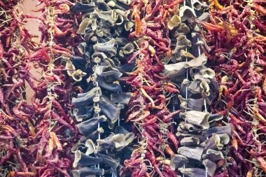 Dantel üzerinde çeşitli biber kurutulmuş