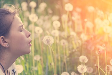 Dandelions ile oynarken sevimli kız