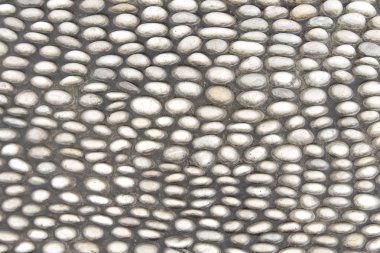 Ggray yuvarlak çakıl taşları