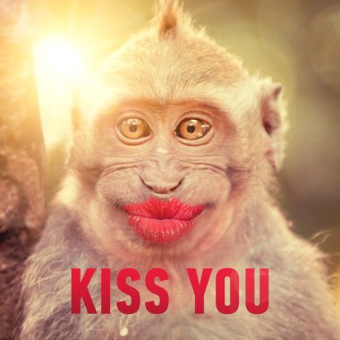 Funny monkey with big red lips clipart