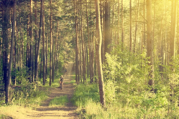 Ciclista su strada forestale — Foto Stock