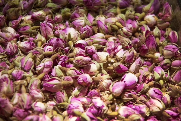 Τσάι από βότανα για αγορά μετρητής — Φωτογραφία Αρχείου