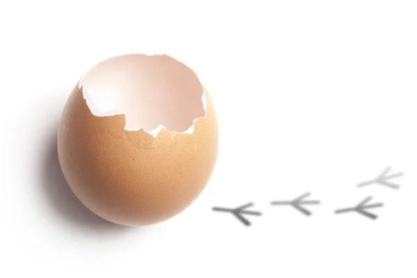 Broken chicken eggshell with painted tracks — Stockfoto