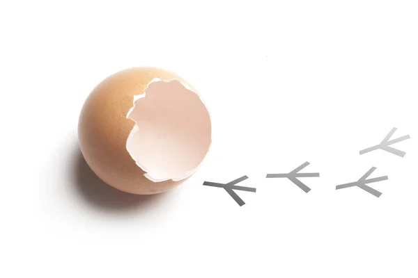 Broken chicken eggshell with painted tracks — Stockfoto
