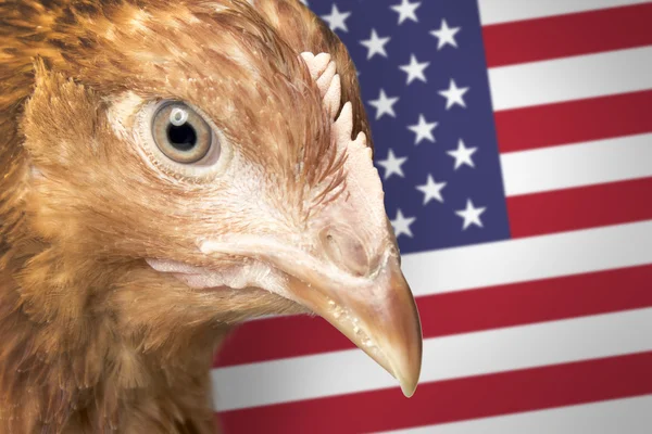 Rode duivin met Amerikaanse vlag — Stockfoto