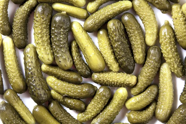 Many small pickled cucumbers — Stock fotografie