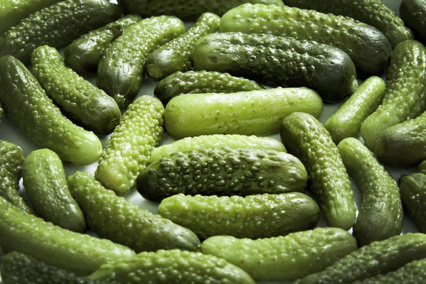 Many small pickled cucumbers — Stockfoto