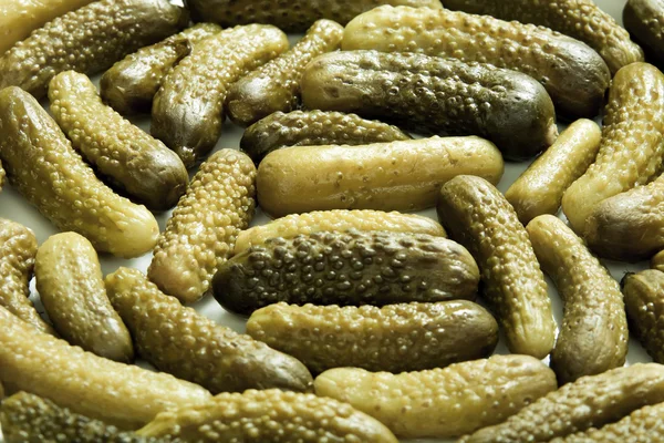 Many small pickled cucumbers — Stok fotoğraf