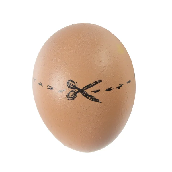 Chicken egg with painted cut line — Stockfoto