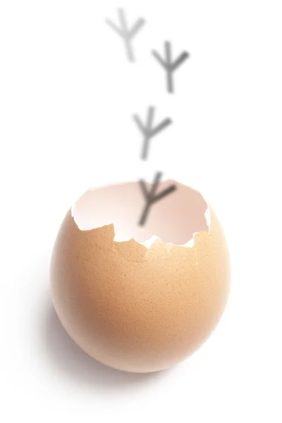 Розбите куряче яйце з розфарбованими доріжками — стокове фото