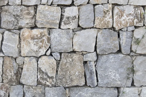 Old gray stone wall texture Stock Picture