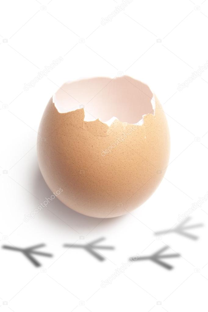 Broken chicken eggshell with painted tracks