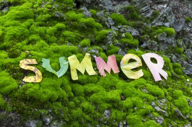 Word yaz üzerinden kesip bırakır