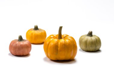 Renkli çeşitli kabaklar