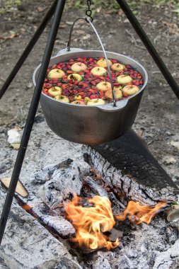 Taze meyve kompostosu
