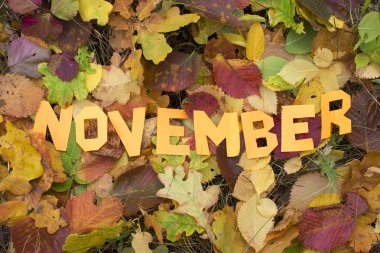 Word Kasım gazeteden kesip