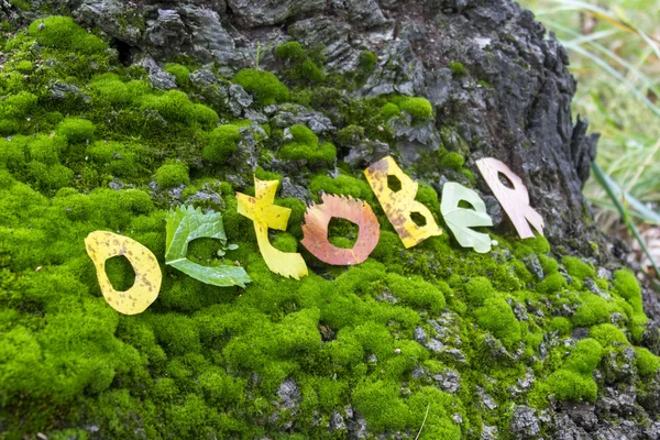 Wort Oktober aus Blättern geschnitten — Stockfoto