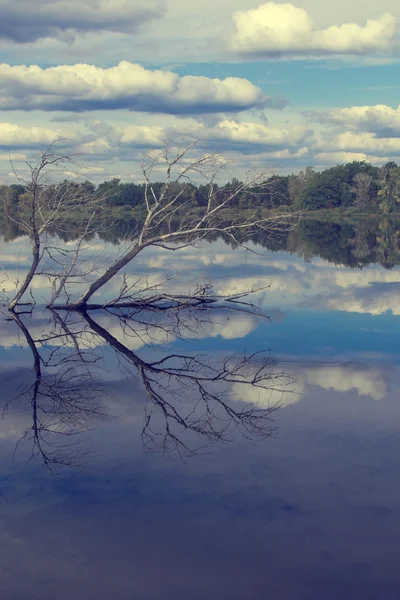 Wolken spiegeln sich im See — Stockfoto