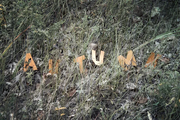 Word Autumn cut out from paper — Stock Photo, Image