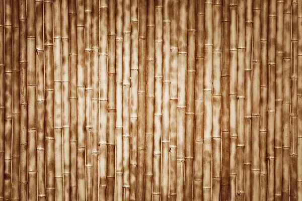 Vecchio recinto di bambù — Foto Stock