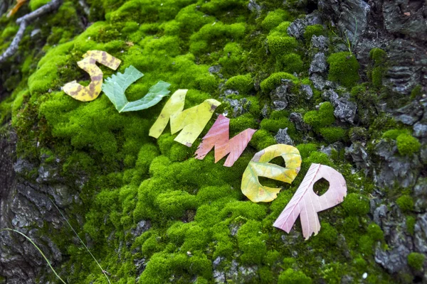 Λέξη καλοκαίρι κοπεί από φύλλα — Φωτογραφία Αρχείου