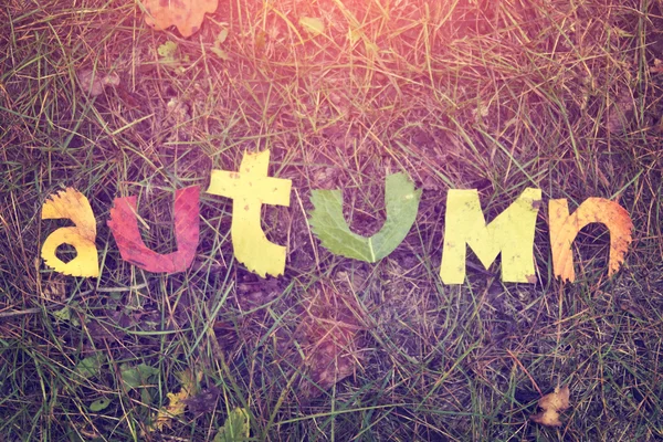 Word Autumn cut out from leaves — Stock Photo, Image