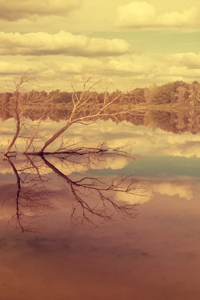 湖に反映雲 — ストック写真