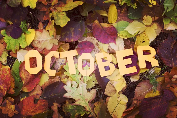 Ordet oktober skärs ut från papper — Stockfoto