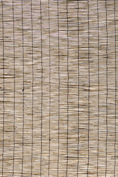 Старий бамбукового забору — стокове фото