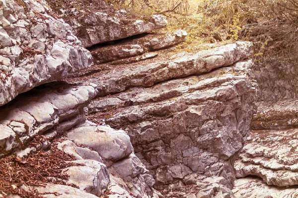 Râu montan în canionul pitoresc — Fotografie, imagine de stoc