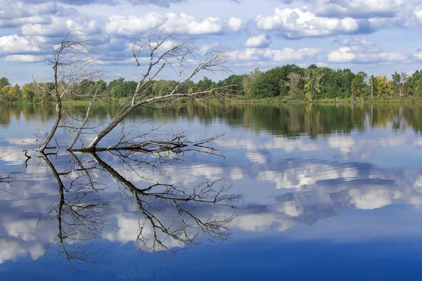 Wolken spiegeln sich im See — Stockfoto