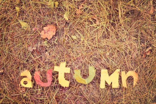 Word herfst uitgeknipt uit bladeren — Stockfoto
