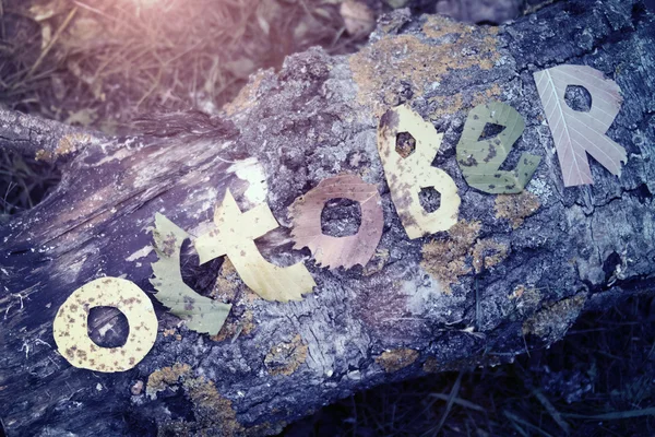 Cuvânt october tăiat din frunze — Fotografie, imagine de stoc