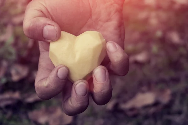 Heart shaped potato — Stock Photo, Image