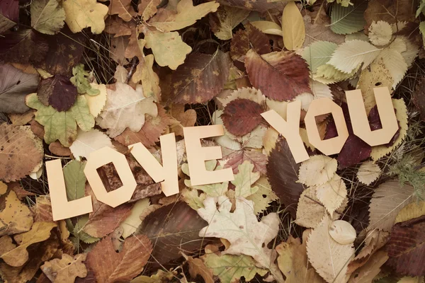 Liebe dich Beschriftung auf Herbstblättern — Stockfoto