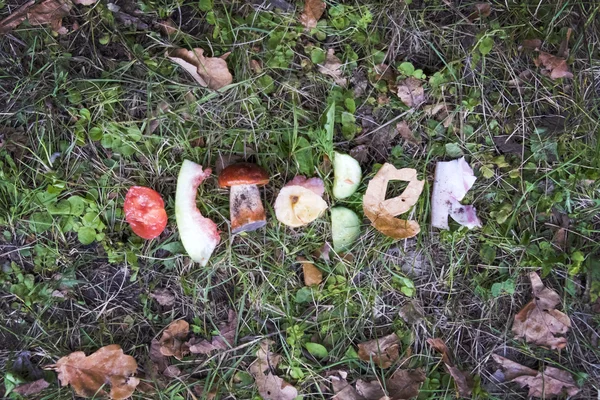 Palavra Outubro feita a partir de legumes — Fotografia de Stock