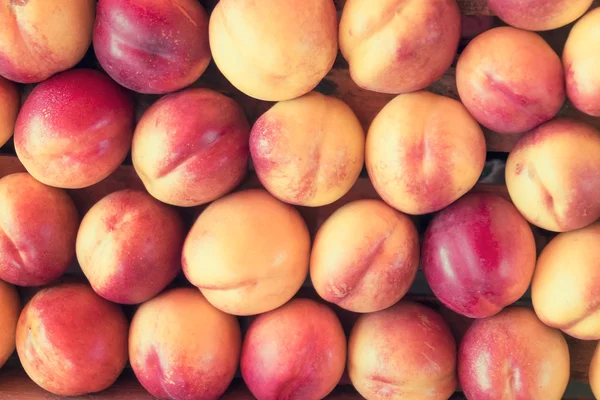 Reihen frischer roter Pfirsiche — Stockfoto