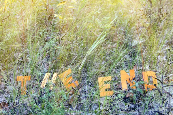 The end inscription on autumn grass — Stock Photo, Image