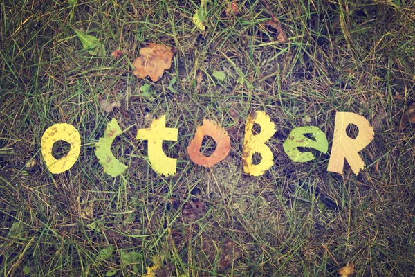 Ord oktober uitgeknipt uit bladeren — Stockfoto