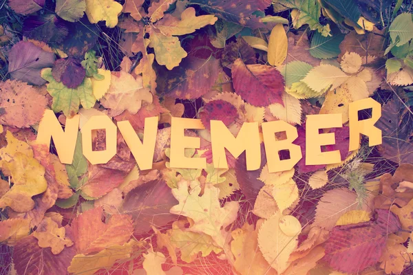 Ordet november skärs ut från papper — Stockfoto