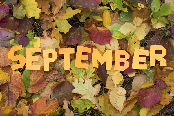 Ordet september skärs ut från papper — Stockfoto
