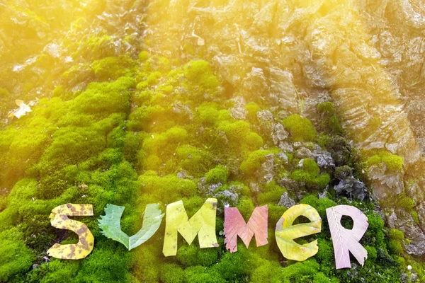Wort Sommer aus Blättern geschnitten — Stockfoto