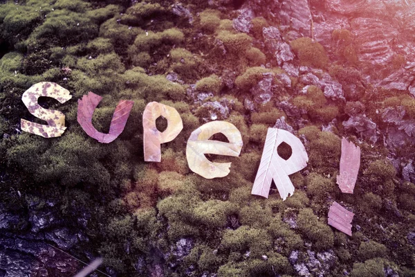 Ordet super skärs ut från bladen — Stockfoto