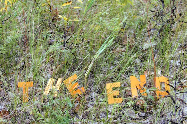 The end inscription on autumn grass — Stock Photo, Image