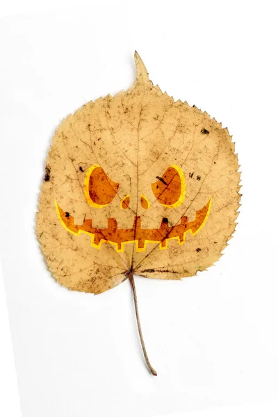 Droge blad met halloween gezicht — Stockfoto