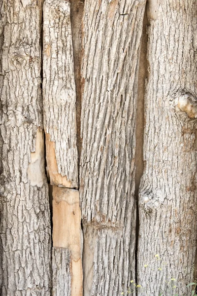 Hajlított fából készült kerítés — Stock Fotó