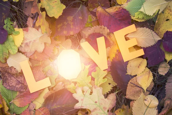 Love inscription on autumn leaves — Stock Photo, Image